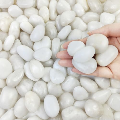 5lbs White Pebbles for Indoor Plants, 0.8-1.2 Inch Smooth White River Rocks for Potted Plants, Decorative Polished Stones for Landscaping Vase Fish Tank and Outdoor Garden Pavers - size: 0.8-1.2 Inch, style: 5 Pounds