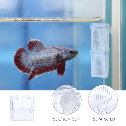 BESPORTBLE Fish Hatchery Breeding Box with Suction Cups Large Dual-Compartment Plastic Fish Isolation and Incubator Tank Divider for Aquarium Nursery