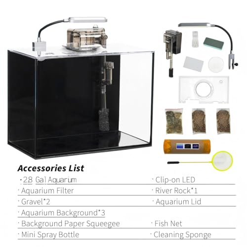 2.8 Gallon Glass Fish Tank with Filter LED Light Complete Betta Fish Tank Starter Kit for Small Aquarium Lovers, Rimless Freshwater Nano Tank with All Essentials Included - size: 2.8 Gallon