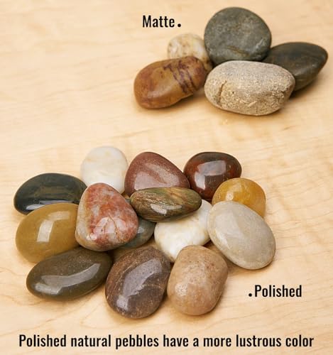 NUPICK 10 Pound River Rocks, 0.8-1.3 Inches Polished Pebbles for Plants, Fish Tank, Clear Vase and More, Natural Mixed Color Stones - color: Mixed, size: 0.8-1.3"-10lb
