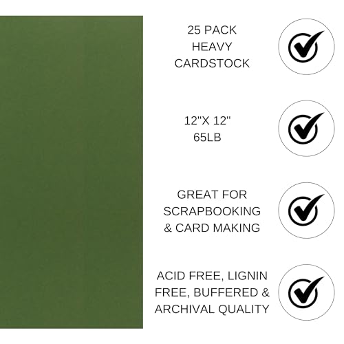 PA Paper Accents Stash Builder Cardstock 12" x 12" Parrot, 65lb colored cardstock paper for card making, scrapbooking, printing, quilling and crafts, 25 box - color: Parrot