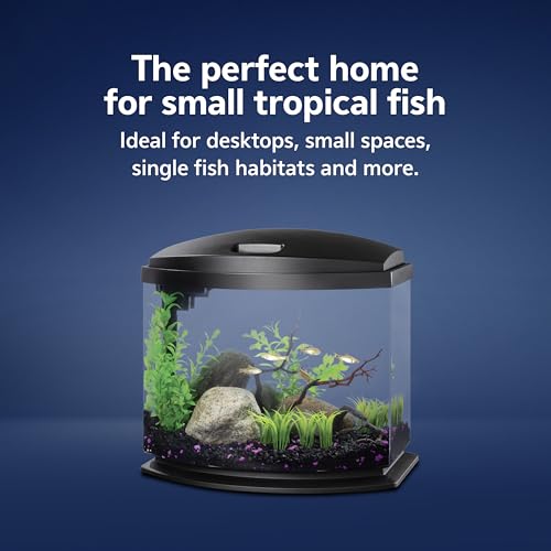 Aqueon LED MiniBow Small Aquarium Fish Tank Kit with SmartClean Technology, Black, 5 Gallon - color: Black, size: 5 Gallon