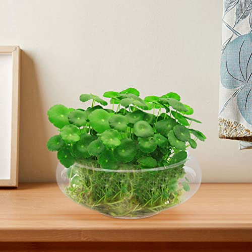 VOSAREA Glass Vase Bowl Glass Bubble Bowl Terrarium Succulent Planter Air Plants Hydroponic Display Floating Candles Clear Bubble Fish Aquatic Plant Pot Daffodil Pot (9.82X9.82X3.93in)