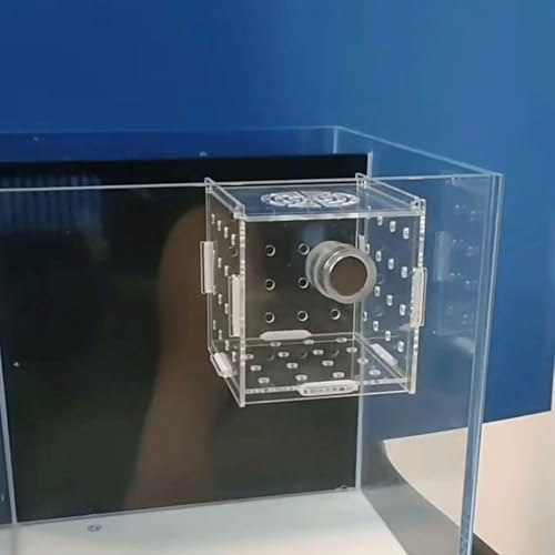 Generic Acrylic Fish Breeding Box, Magnetic Fish Isolation Box for Aquarium Hatchery Incubator Tank for Baby Fishes Shrimp Clownfish Guppy - size: Small, Normal magnetic model
