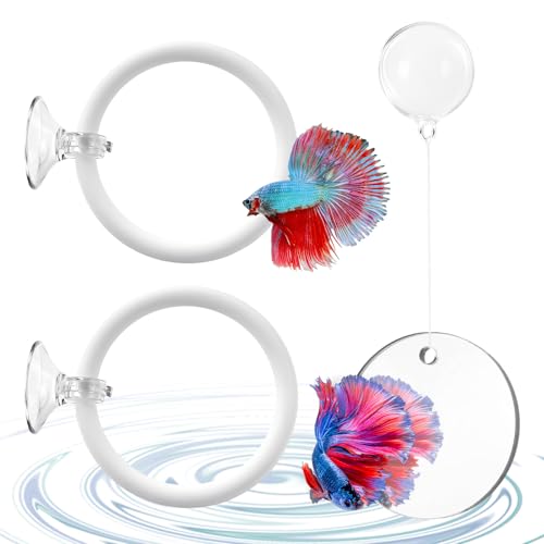 Betta Fish Tank Accessories, 2 Pcs Betta Exercise Ring and Bettas Mirror with Floating Ball, Plastic Bettas Fish Toys for Enrichment Aquarium, Fish Training & Play