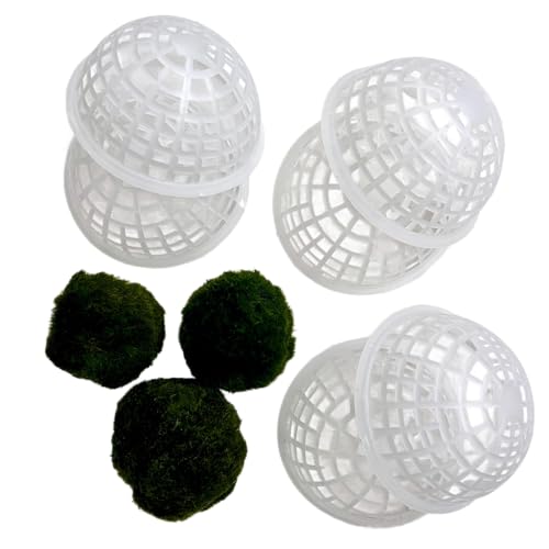 12 Pcs 80mm Extra Large Clear Sphere Moss Ball Holders, Plastic Decorative Balls for Aquarium Shrimp Tank Ornament