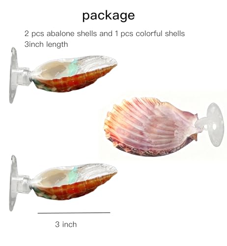3 Pack Betta Fish Resting Spot Natrual Handmade Shell Bed for Betta, Aquarium Decor Angelfish breeding Slate Spawning Grounds Breeding Resting Bed Betta Hammock