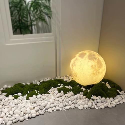 40LB White River Rocks - 2-3 inch High Polished Decorative Pebbles, Stones for Landscaping, Natural River Rocks for Outdoor Décor, Plants,Vase Filler,Fish Tank - size: 40LB, style: White