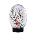 Mini Aquarium, Ecosphere Closed Aquatic Ecosystem Desktop Aquarium with LED Light & Revolving Base, No Need to Feed & Change Water Fish Tank Decor for Home Office (Black)