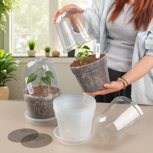 BTPLASTIK 6 Inch Clear Nursery Pots with Humidity Domes 15 Pack, Transparent Plastic Plant Pot with Drainage Holes and Saucers, Seed Starter Pots with 15 Pcs Plant Labels and 15 Pcs Soil Screens - size: 6Inch-15P-with Humidity Domes
