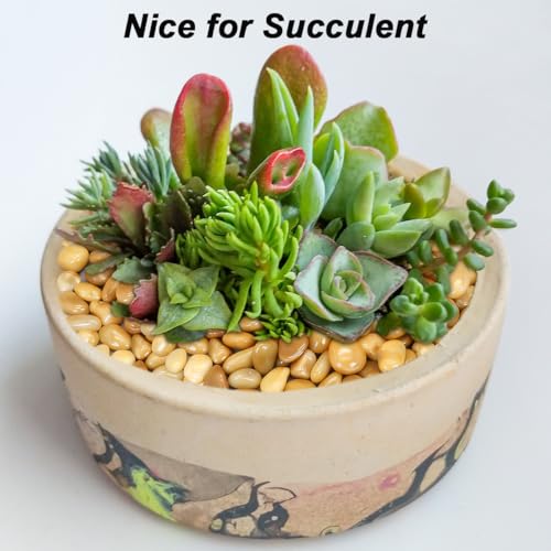 Fish Tank Rocks,Virekm River Rocks, Decorative Ornamental Pebbles Garden Landscaping Stones Gravel Filler for Home Decoration Flower Bed Fish Tank Plants Vases Succulents - color: yellow, size: 10 Pounds