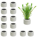12 PCS Aquarium Plant Weights for Fish Tank, Ceramic Ring with Black Sponge, Aquatic Plants Fixed Ring Anti-Floating Aquarium Landscape Decoration