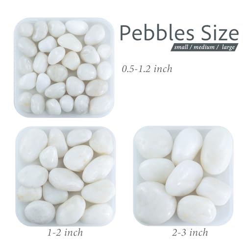 Pebbles for Indoor Plants, 2lbs White Pebbles 0.5-1.2 Inch Decorative River Rocks for Planters, High Polished Stones for Vase Filler Fish Tank Landscaping Garden - size: 0.5-1.2 inch, style: 2 lbs