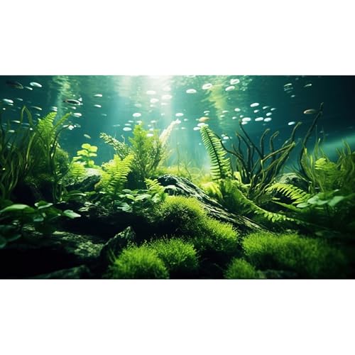 Underwater Fish Tank Background Under The Sea Aquatic Plants Aquarium Background Ocean Floor Rock Terrarium Backgrounds Tropical Fish Green Seaweeds Aquarium Backgrounds for Fish Tank Decor 24x12in - color: Green, size: 24(W)x12(H)inches/ 60(W)*30cm(H)