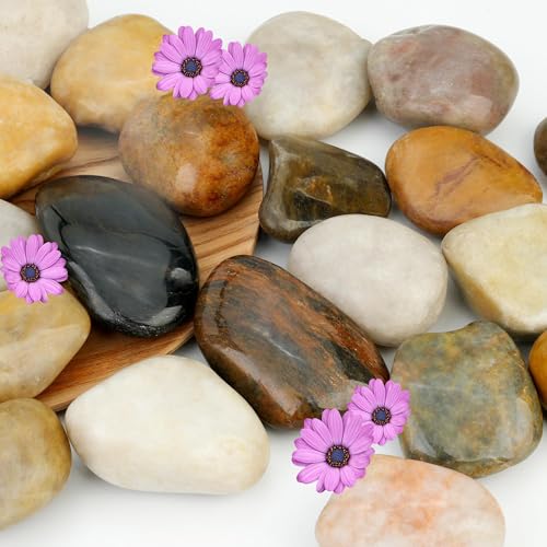 NUPICK 3lb River Rocks for Plants Indoor, 2-3Inch Mixed Pebbles for Vases Fillers, Decorative Gravel for Fish Tank, Natural Polished Stones for Succulent, Bonsai, Landscaping, Bird Baths - color: Mixed, size: 2-3"-3lb