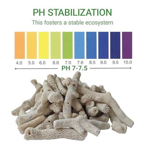 1.1lb/500g Crushed Coral, Natural Fish Tank Crushed Coral, Crushed Coral Filter for Freshwater Aquarium Ph Aquarium Bio Filter Media Bag Reusable Aquarium Filter