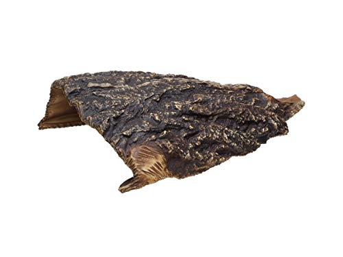 Plecoceramics Aquarium Cave - Ceramic Betta Fish Tank Decor - Natural Aquarium Decor - Large Reptile Hide - Fish cave Hideout - Snake Hide - Cave for Cichlids and plecos (Cave)