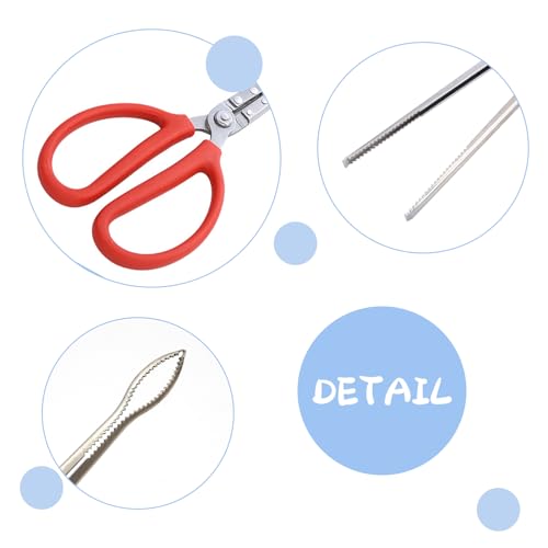 2 PCS Snake Feeding Tongs 15 Inch Extra Long Stainless Steel Reptile Feeding Tongs Including 1 Curved Mouth and 1 Straight Mouth Feeding Tong Tweezers for Ball Python Fish Aquariums Reptiles Snakes