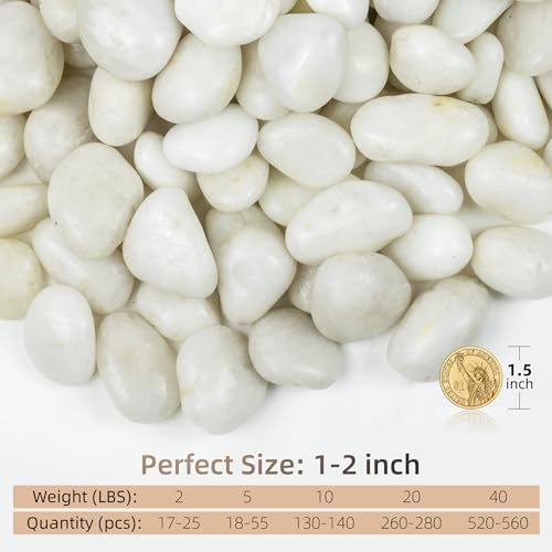 White Pebbles for Landscaping 40lbs, 1-2Inch Natural River Rocks for Aquarium, High Polished Decorative Stones for Vase Filler Fish Tank Gardening - color: White, size: 40 Pounds