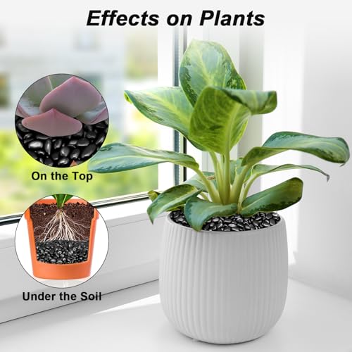Pebbles for Indoor Plants,Virekm River Rocks,Decorative Ornamental Pebbles,Garden Landscaping Stones Gravel Filler for Home Decoration Flower Bed Fish Tank Plants Vases Succulents (10 Pounds) - color: BLACK, size: 10 Pounds