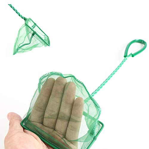 3PCS Aquarium Fish Net Fine Mesh Net Quick Catch Nets Nylon Fishing Nets with Long Plastic Handle for Fish Tank, Green, 3in 4in 6in - style: Classic