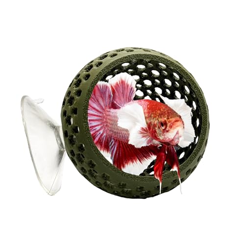 CTWPets Natural Betta Bulb Hide | Betta Rest Fish Tank Ornament | Aquarium Cave with Suction Cup for Small Fish Tank, Betta Habitat, Shrimp Hideout, Aquatic Decor (Forest Green) - color: Forest Green