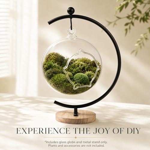 4.7" Hanging Glass Terrarium Globe with Stand for Air Plants Succulents & Desktop Decor, Small Floating Garden for Desks, Shelves, Windowsills, Offices, and Plant Lover