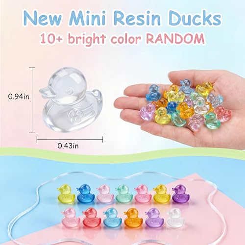 200PCS Mini Resin Small Ducks to Hide Miniature Tiny Little Plastic Ducks for Hiding Resin Duck Bulk Pack for Micro Garden Aquarium DIY Craft Office Desk Decor Vase Filler Gifts Party Favors - size: Duck (200PCS)