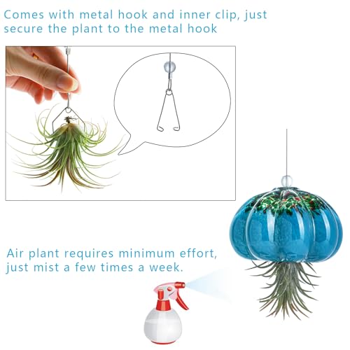 H&D HYALINE & DORA Handmade Blown Glass Hanging Jellyfish Air Planter for Live Succulent Air Plants (No Plants) - color: Jellyfish-sea Blue