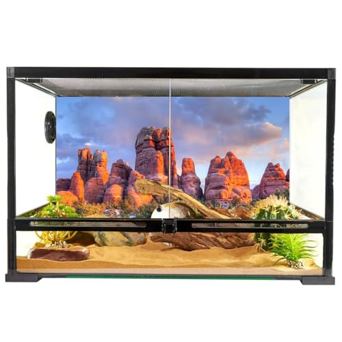 YongFoto Reptile Tank Terrarium Background 30x12 inch Desert Rocky Bush Thorns Western Wilderness Reptile Habitat Background Bearded Dragon Fish Tank Aquarium Polyester Backdrop - color: Orange-3, size: 30 x 12 in