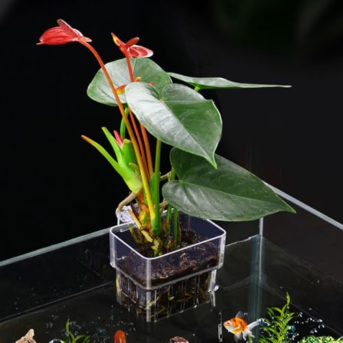 Aquarium Plant Holders, Transparent Fish Tank Pots Hanging Planter Basket Aquatic Cup for Fish Tank Hydroponic