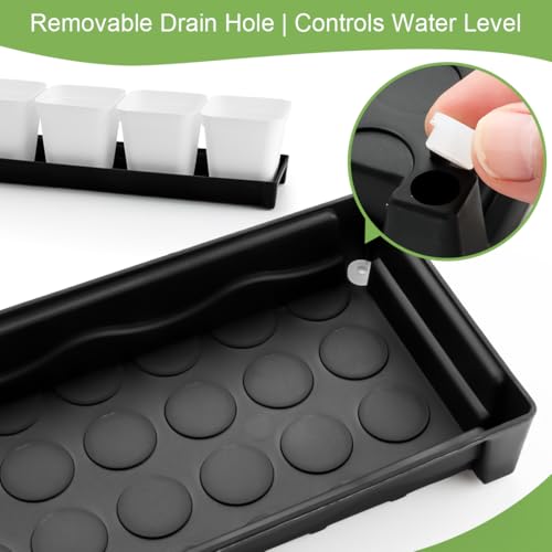 10 Pack Plastic Windowsill Plant Pot Trays (16"x5.5"x1.5"), Rectangular Window Sill Saucer with Removable Drainage Hole, Thick Plant Saucer Tray for 4 inch (10CM) Flower Seedling Pots (Black) - size: Trays (16"x5.5"x1.5") for 4 Inch Pots-10 Pack