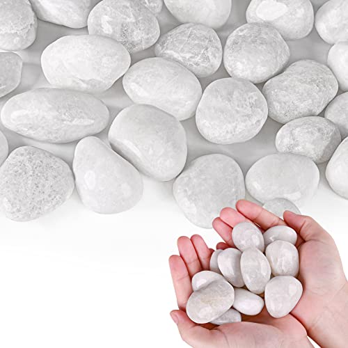 White Pebbles for Indoor Plants 2.5 LB Small River Rocks 1"-1.5" Polished Decorative Stones Smooth Aquarium Gravel for Fish Tank Vases Planters Outdoor Landscaping Garden (40oz) - size: 2.5 LB (40oz), style: White