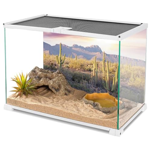 AWERT Reptile Habitat Background Blue Sky Oasis Mountain Cactus Sun and Desert Terrarium Background 30x12 inches - size: 30x12in/75x30cm