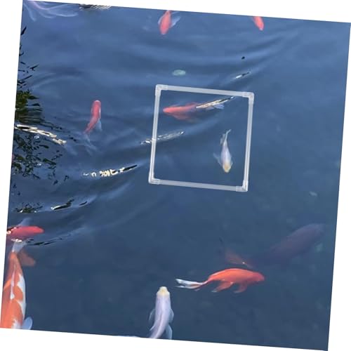 SOLUSTRE 1 Set Floating Plant Rings for Aquariums of Fish Tank Feeding Rings with Suction Cup Versatile Design for Easy Installation and Feeding of Aquatic Plants Fish Tanks
