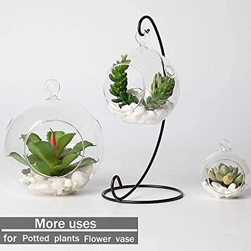 Decorative Garden Pebbles, 3 LB Natural White Rocks for Indoor & Outdoor Planters, Walkways, Vase Fillers & Landscaping Décor – Multiple Sizes & Colors - size: 3LB, style: White