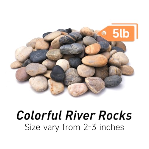 Pulovin 5lbs River Rocks for Landscaping, 2"-3" Decorative Garden Stones for Plants, Flower Pots, Vase, Walkways, Yard, Natural Rocks for Aquarium, Fish Tank - size: 2-3 Inch