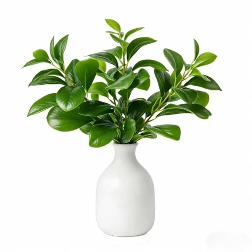 16" Artificial Peperomia in White Ceramic Bud Vase Lifelike Two-Tone Green Leaves Faux Plant Table Centerpiece for Indoor Home Office Shelf Desk Bathroom Decor