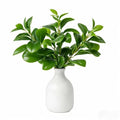 16" Artificial Peperomia in White Ceramic Bud Vase Lifelike Two-Tone Green Leaves Faux Plant Table Centerpiece for Indoor Home Office Shelf Desk Bathroom Decor