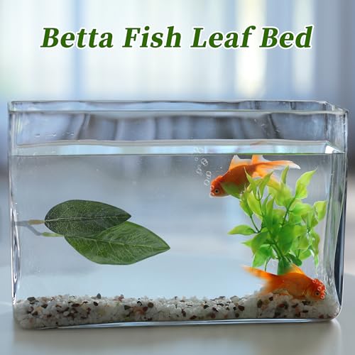 Betta Fish Bed, Betta Leaf Bed, Plastic Betta Hammock, Betta Hammock Pad w/Suction Cup, Betta Fish Resting Place Betta Fish Supplies Aquarium Decor, Green - color: Green