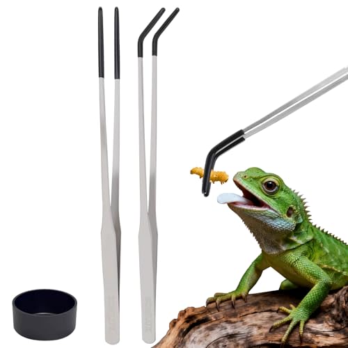 3 PACK Stainless Steel Reptile Feeding Tongs,10.62" Straight &Curved Long Feeding Tweezers&Bowl Set,Non Slip Feeding Tools with Rubber Tip,Bearded Dragon Tank Accessories (B-Silver) - color: B-silver