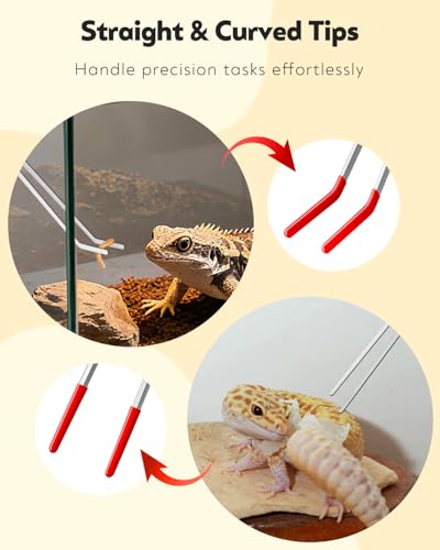 Pawfly 2 Pack Long Tweezers, 11" Reptile Feeding Tweezers, Straight & Curved Reptile Feeding Tongs, Stainless Steel Reptile Tongs, Safe Feeder Tool for Lizard, Bearded Dragon, Gecko & Snake