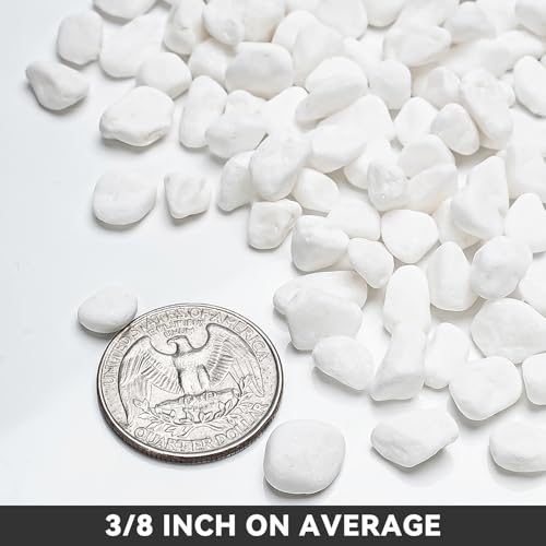 Onlyfire 2lb White Pebbles,1/5" Natural Decorative River Rocks Aquarium Gravel for Indoor Plants, Vases, Succulents and Outdoor Garden Landscaping - color: White, size: 2 Pounds