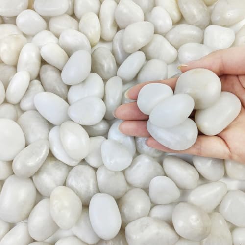 2 lbs Small White Pebbles for Plants, 0.8-1.2 inch Decorative River Rocks for Plants, Aquariums, Landscaping. White Stones for Planter Vase and Outdoor Garden Rocks - size: 0.8-1.2 Inch, style: 2 Pounds