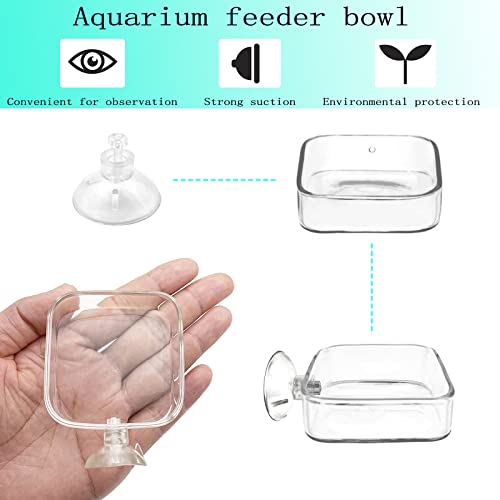 Aquarium Shrimp Feeder Dish Glass Fish Tank Feeding Bowls, 2pcs Square Glass Food Bowl (60mm), 1pcs Round Fish Feeding Bowls with Suction Cups (60mm) - size: 3x Bowl Combine 4