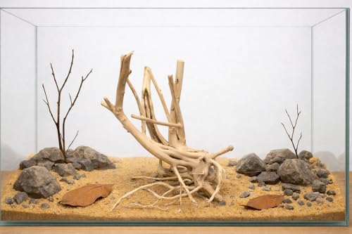 Azil spiderwood Natural Aquarium - size: Spiderwood 10'' - 14''