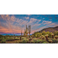 AWERT 72x24 inches Terrarium Background Blue Sky Cloud Huge Cactus Oasis Gobi Reptile Habitat Background Vinyl - size: 72x24in/180x60cm