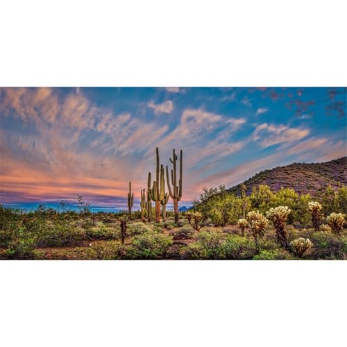 AWERT 48x24 inches Terrarium Background Blue Sky Cloud Huge Cactus Oasis Gobi Reptile Habitat Background Vinyl - size: 48x24in/120x60cm