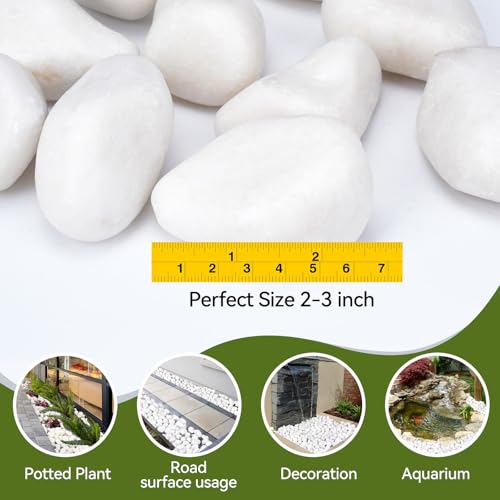 Pulovin 20 lbs White Rocks for Landscaping, 2-3 Inch Large White Rocks for Plants, Decorative Polished Stones for Garden, Walkways, Yard, Plants Pots, Vases, Crafts - color: White 2-3 Inch