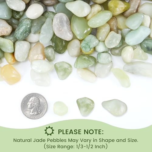 SIDONG 10 LB Jade Pebbles, 2/5 Inch Natural Decorative Polished Jade Stones, Jade River Rocks for Succulents, Cactus, Vases, Indoor Plants, Garden Landscaping, Bamboo - color: Jade, size: 10 Pounds